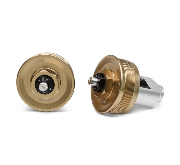 Bouchons de fourche Z900RS