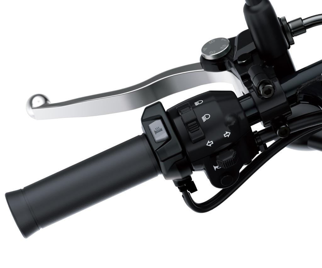 POIGNEES CHAUFFANTES (W800)