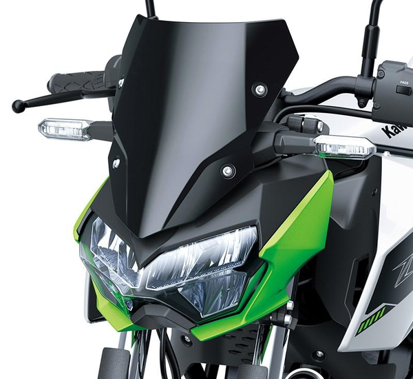 Saute vent fumé (Z e-1)