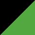 Noir Ebony / Vert Lime Green